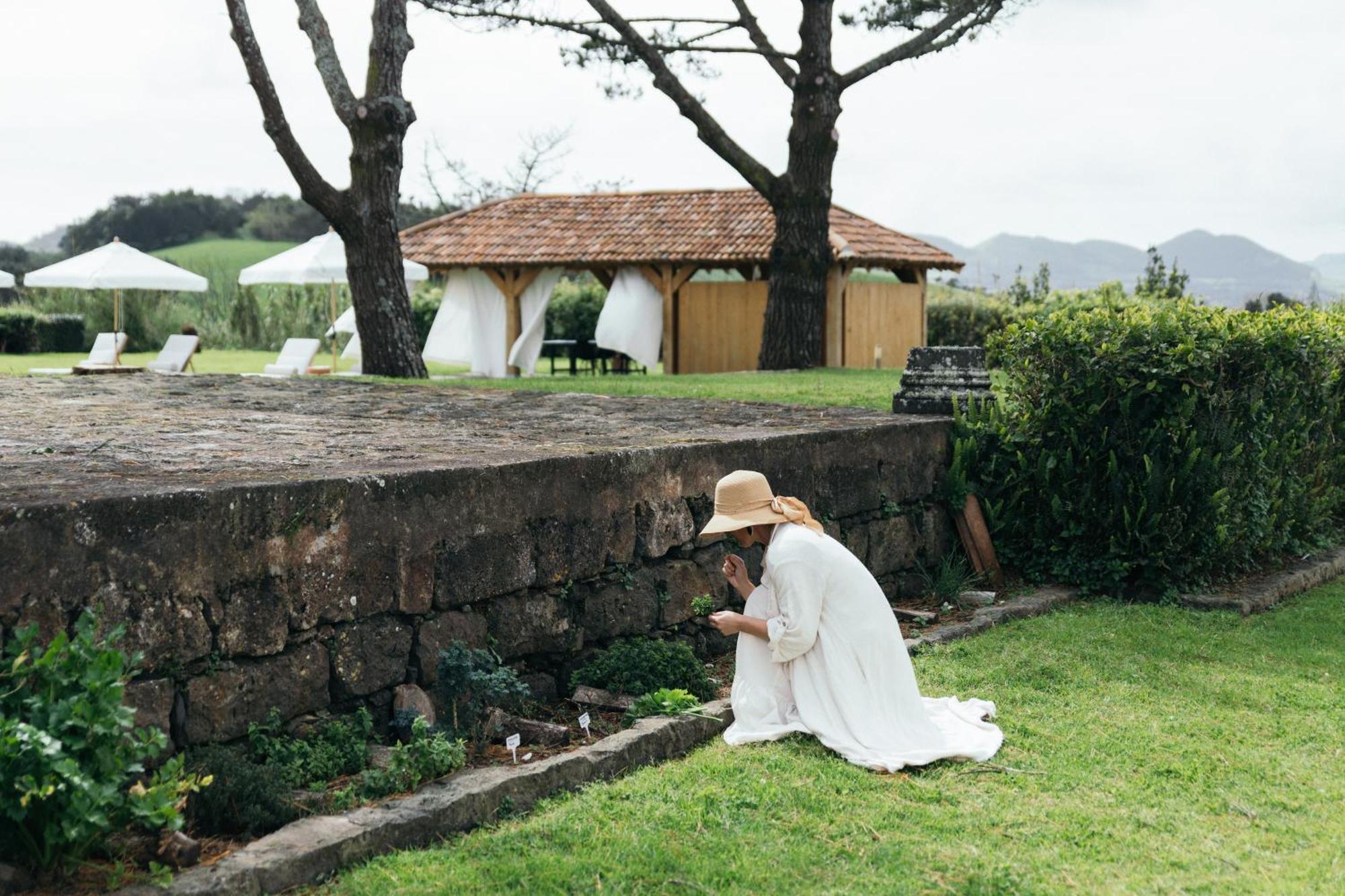 Pico Do Refugio - Casas De Campo Pensionat Ribeira Grande Eksteriør billede