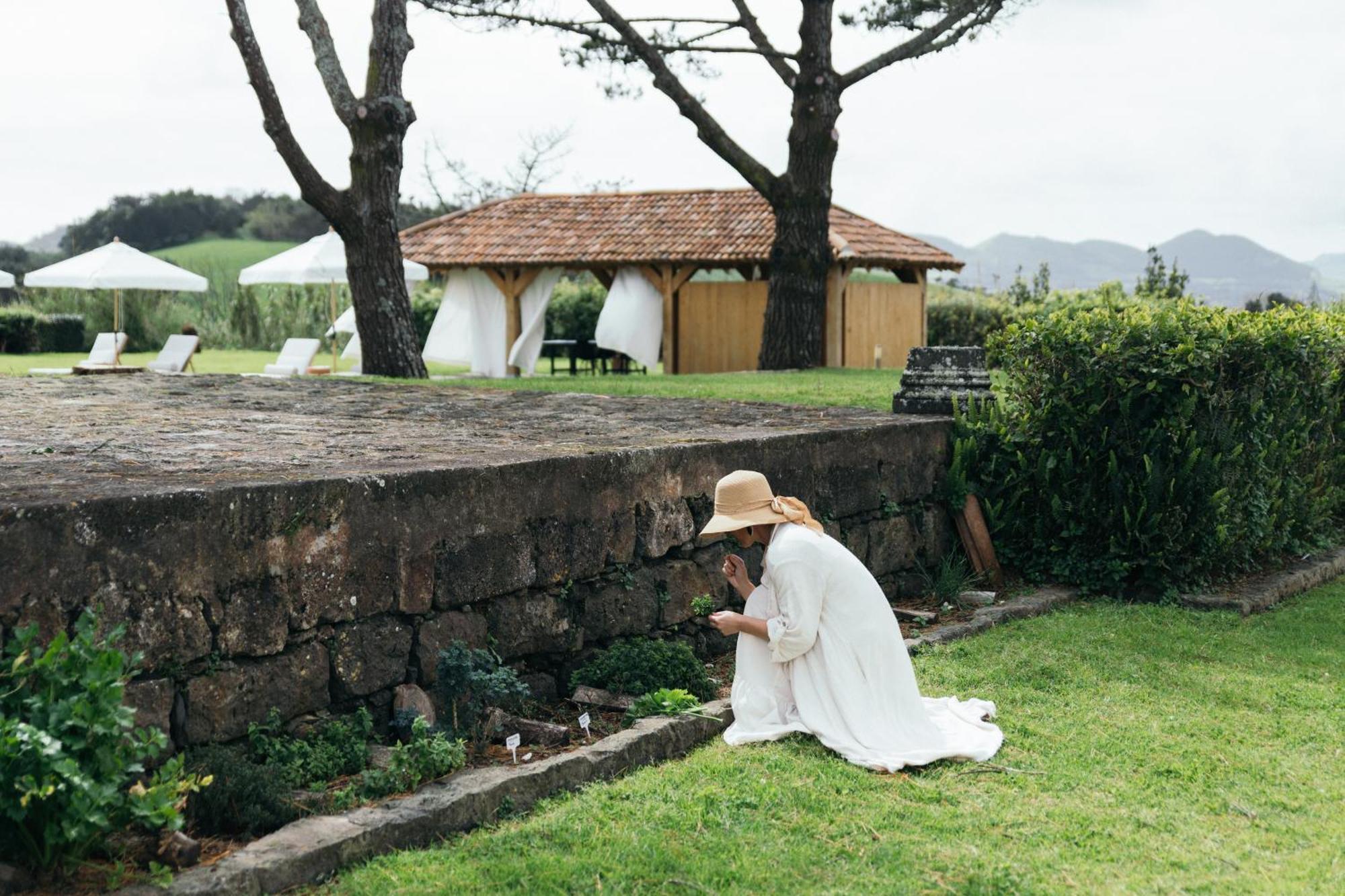 Pico Do Refugio - Casas De Campo Ribeira Grande Eksteriør billede